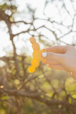 Andi Circles Claw Clip