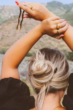 Andi Dark Tortoise Chignon Pin