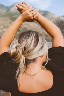 Andi Dark Tortoise Chignon Pin