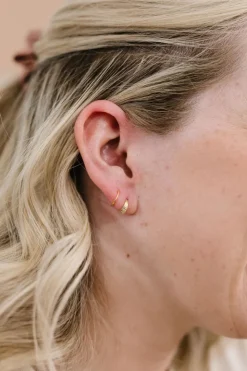 Andi Gold Double Hoop Dupes