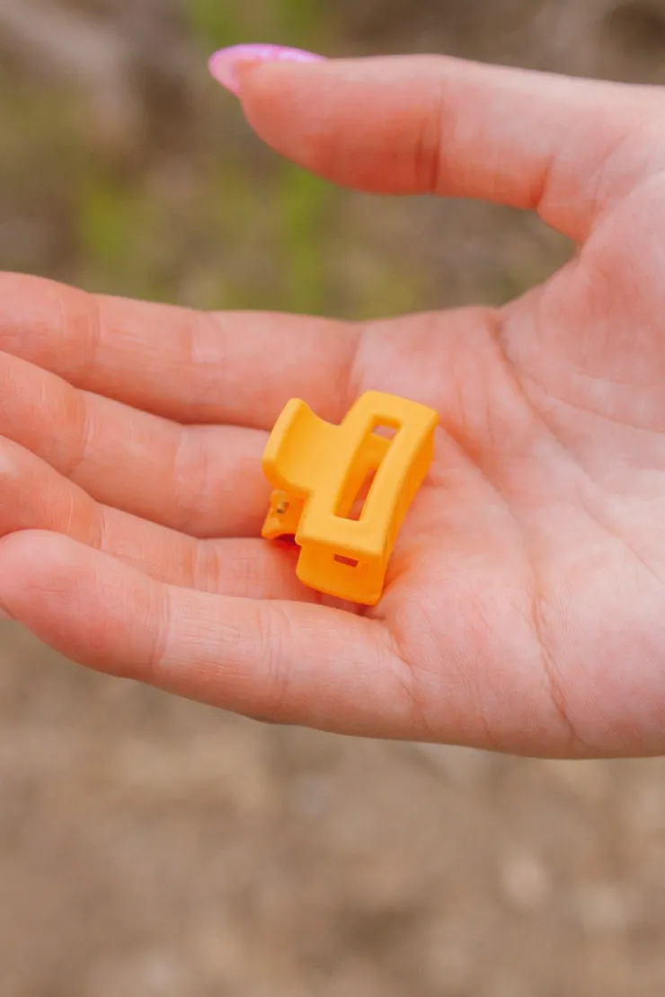 Andi Nano Claw Clip