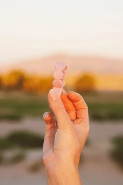 Andi Ponytail Claw Clip