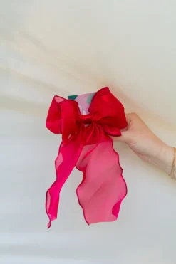 Andi Remi Double Bow Barrette