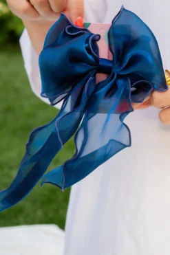 Andi Remi Double Bow Barrette