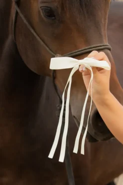 Andi Satin Ribbon Long Bow Clip