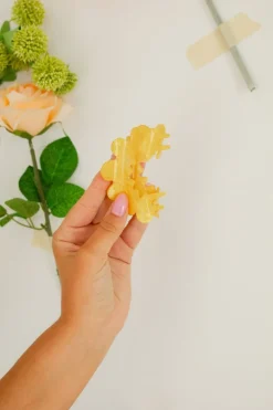 Andi Solstice Claw Clip